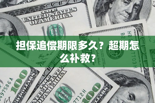 武汉担保追偿期限多久？超期怎么补救？